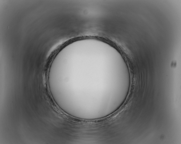 X0000091481262200708161141