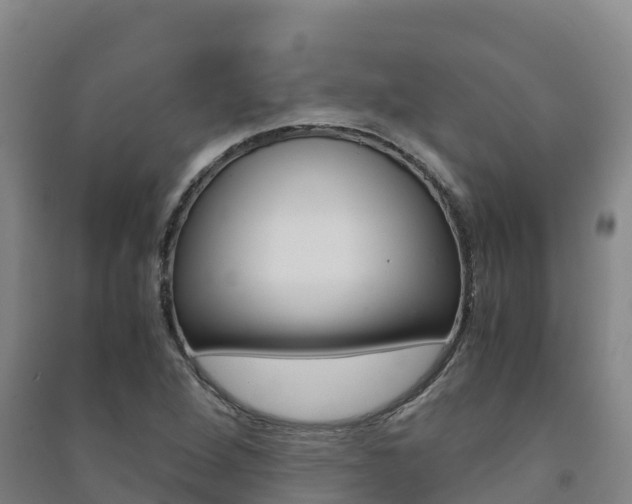 X0000091481264200708161141