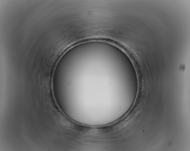 X0000091481265200708161141