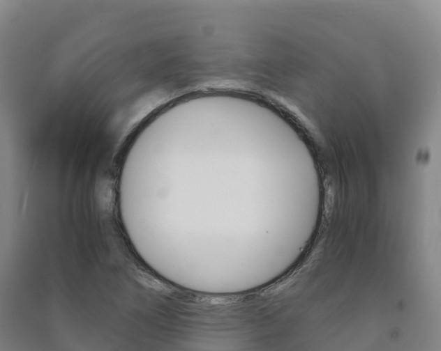 X0000091481266200708161141