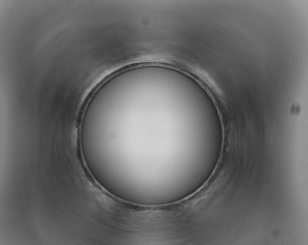 X0000091481268200708161141