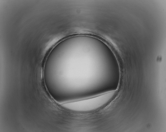 X0000091481269200708161141