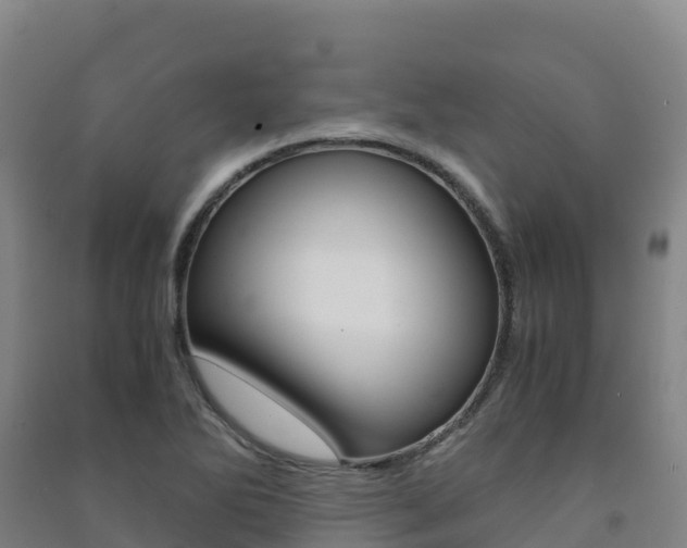 X0000091481270200708161141