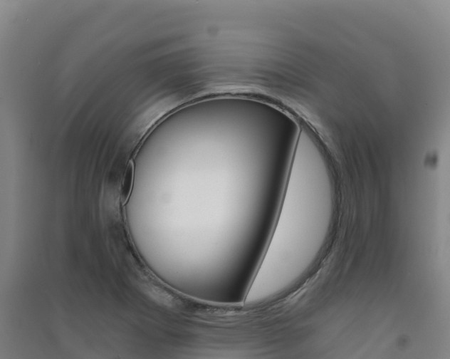 X0000091481273200708161141