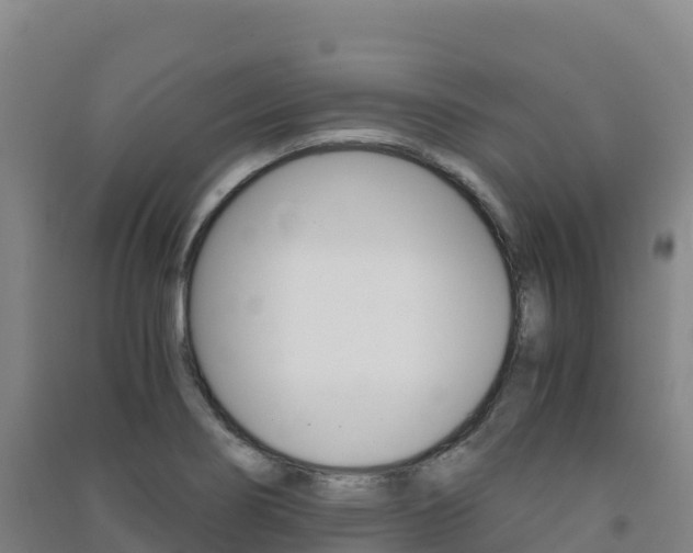 X0000091481274200708161141