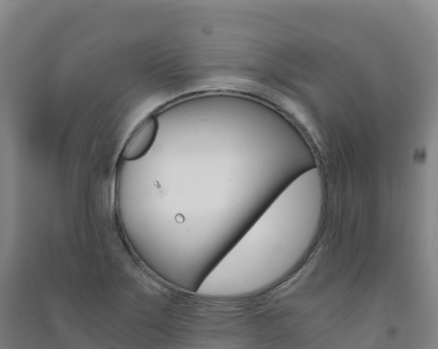 X0000091481275200708161141