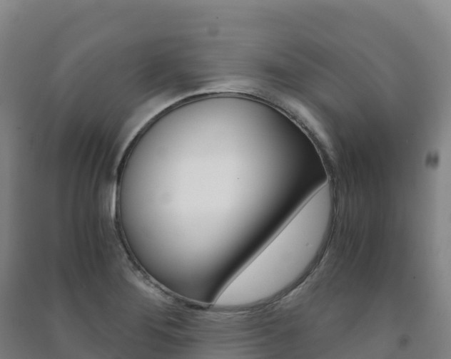 X0000091481276200708161141