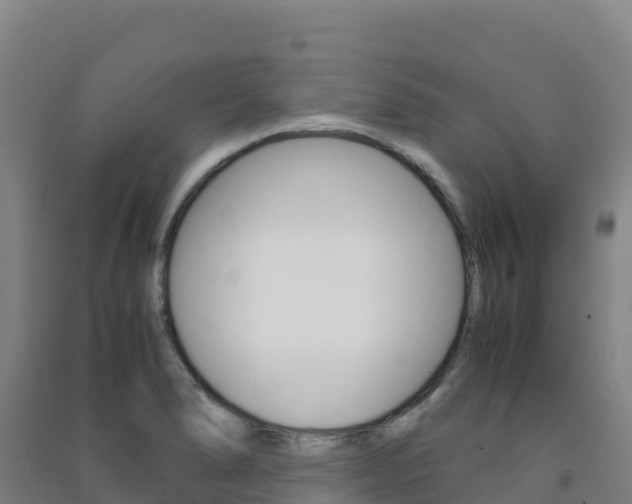 X0000091481278200708161141