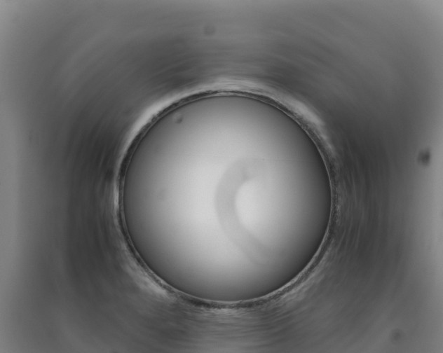 X0000091481280200708161141