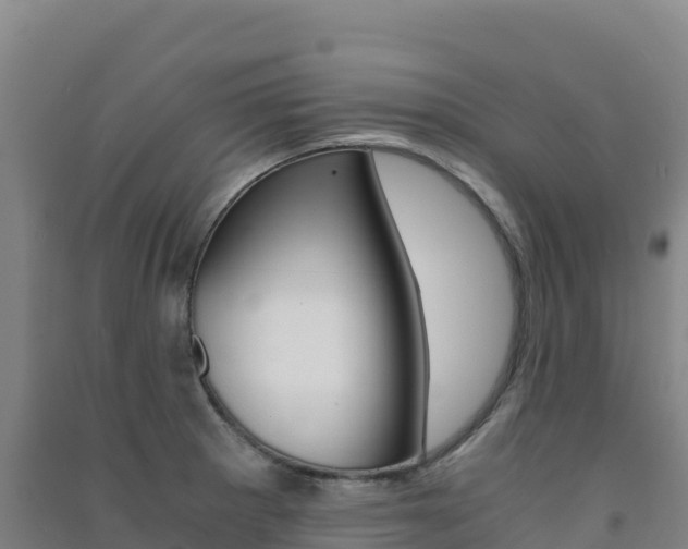 X0000091481281200708161141