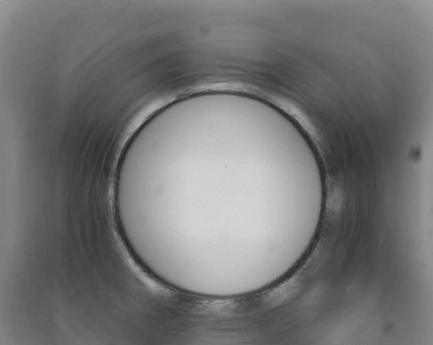 X0000091481282200708161141