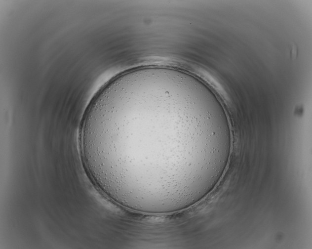 X0000091481283200708161141
