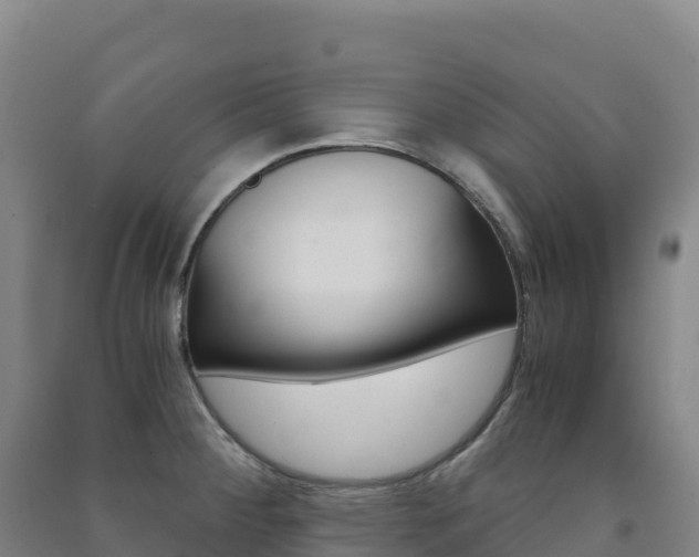 X0000091481284200708161141