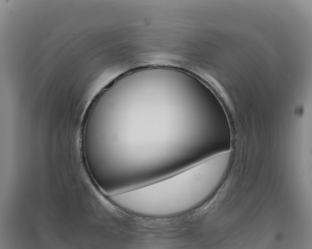 X0000091481285200708161141
