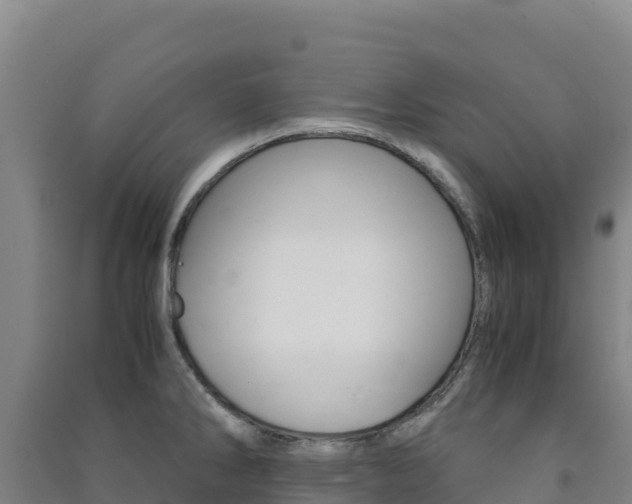 X0000091481286200708161141