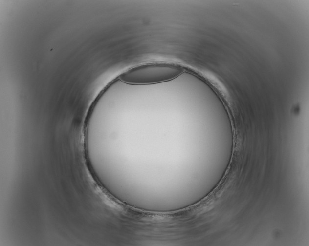 X0000091481287200708161141