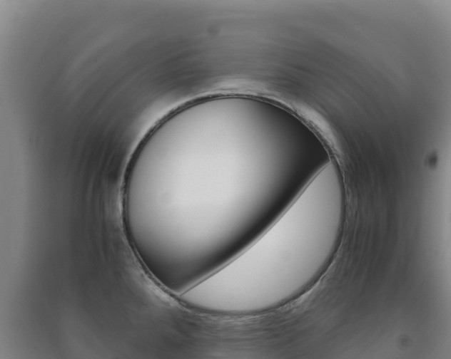 X0000091481288200708161141