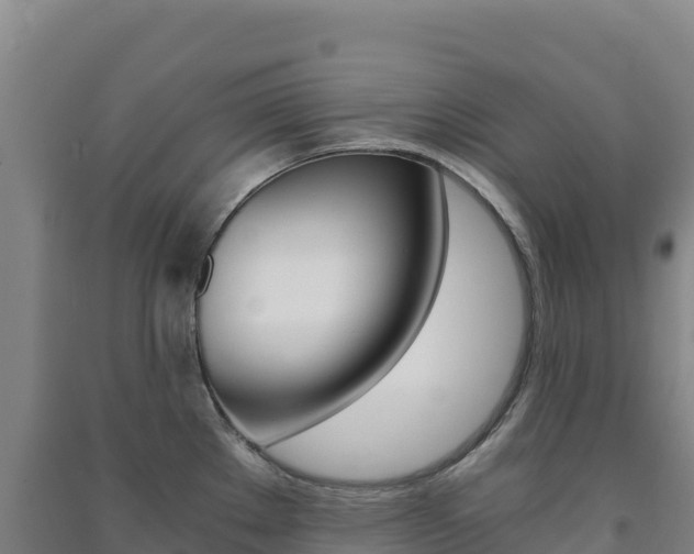 X0000091481289200708161141