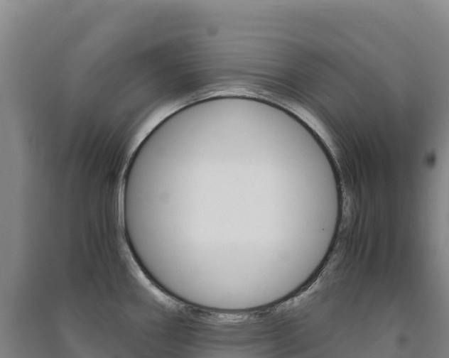 X0000091481290200708161141