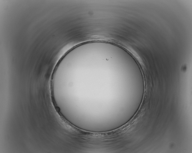 X0000091481291200708161141