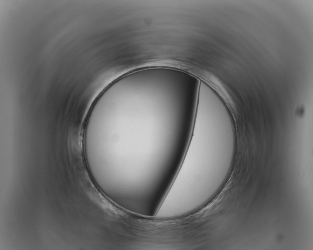 X0000091481292200708161141