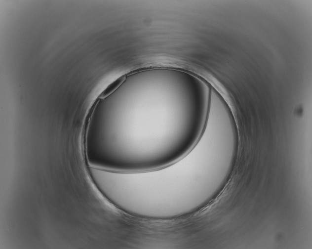 X0000091481293200708161141