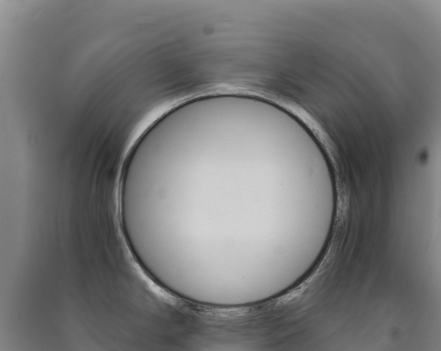 X0000091481294200708161141