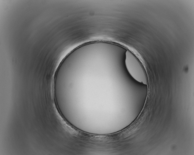 X0000091481295200708161141