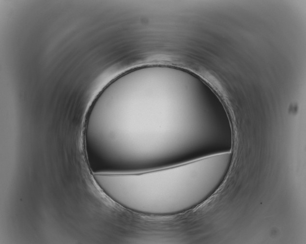 X0000091481296200708161141
