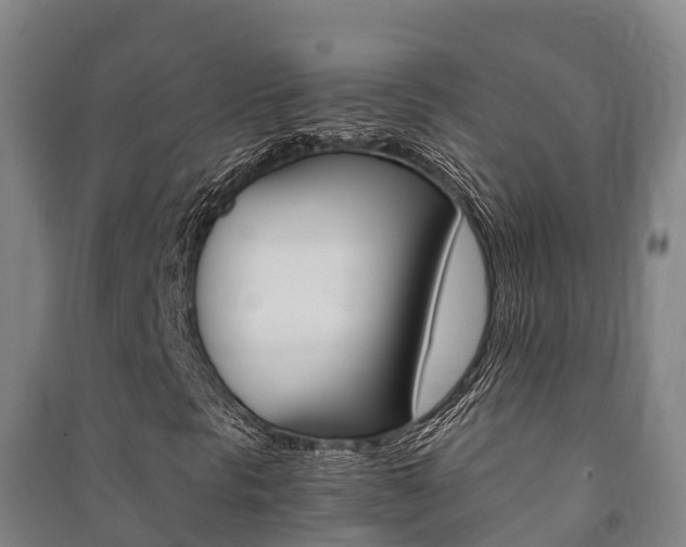 X0000091481297200708161140