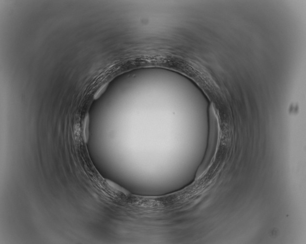 X0000091481298200708161140