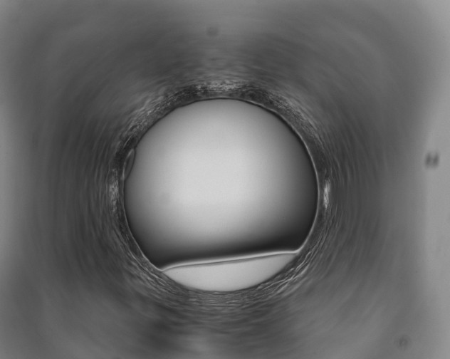 X0000091481299200708161140