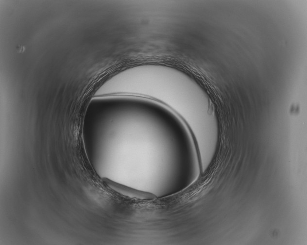 X0000091481300200708161140