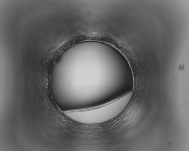 X0000091481301200708161140