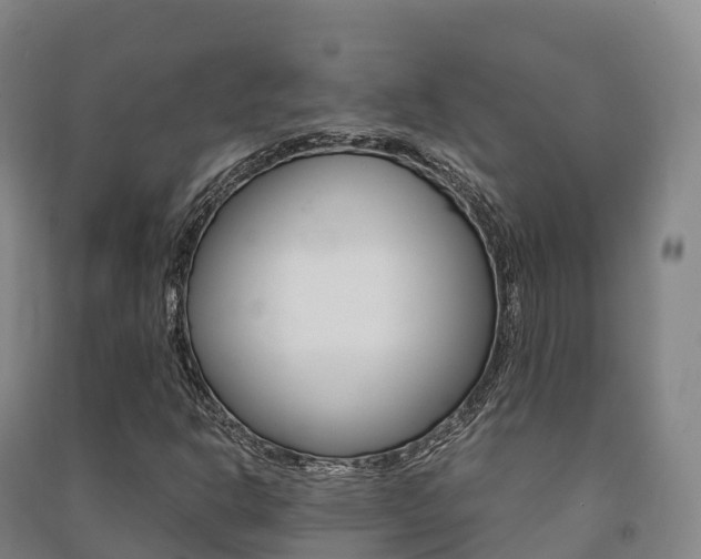X0000091481302200708161140