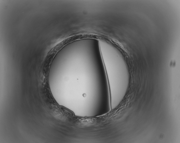 X0000091481303200708161140