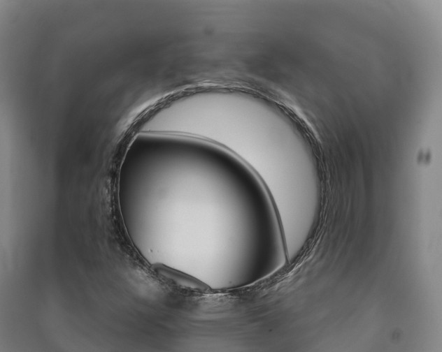 X0000091481304200708161140