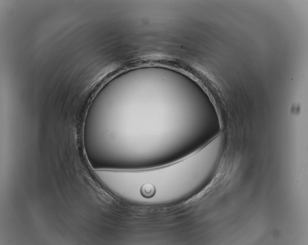 X0000091481305200708161140