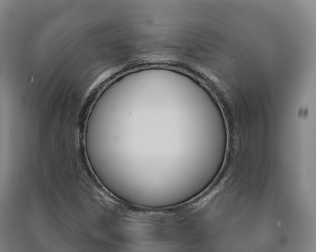 X0000091481306200708161140