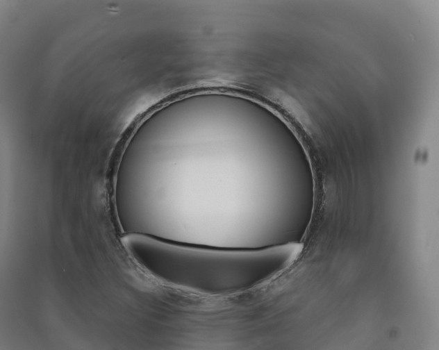 X0000091481308200708161140