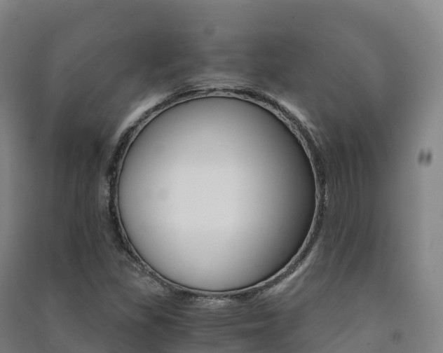 X0000091481309200708161140