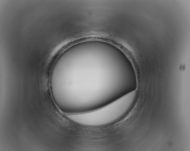 X0000091481310200708161140