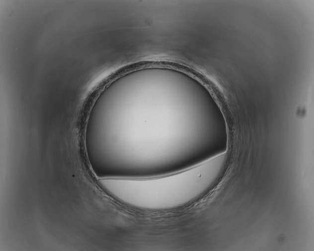 X0000091481311200708161140
