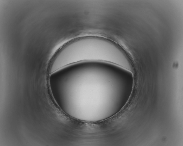 X0000091481312200708161140