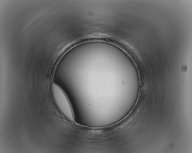X0000091481313200708161140