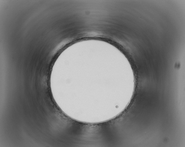 X0000091481314200708161140