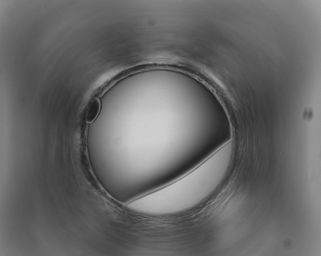 X0000091481315200708161140