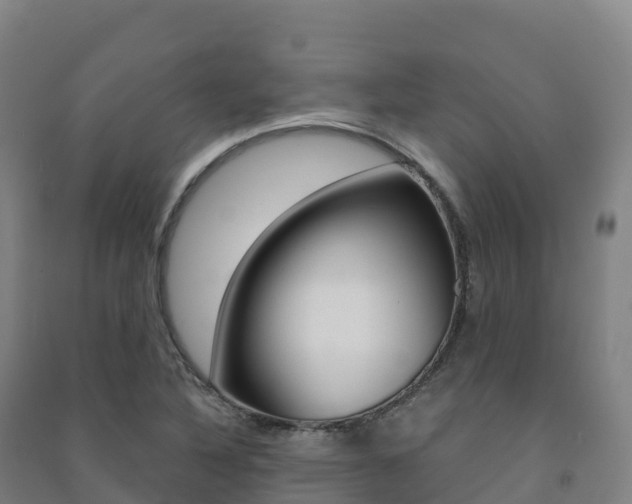 X0000091481316200708161140