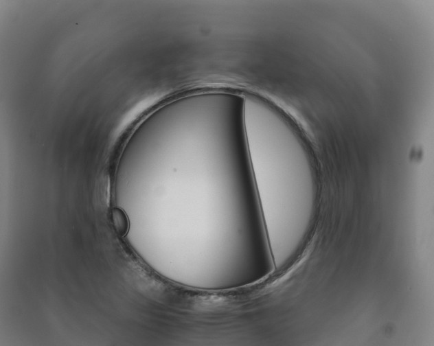 X0000091481317200708161140