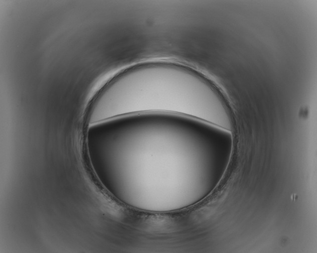 X0000091481319200708161140